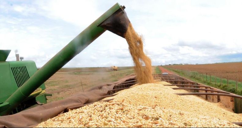 Produção agrícola aumenta área colhida em 2017