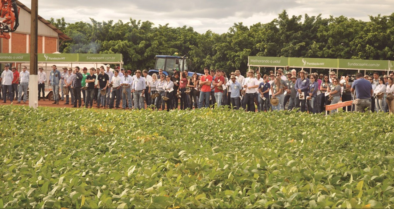 O ativismo na pesquisa agropecuária