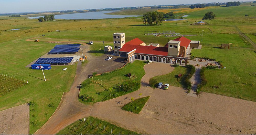 Ganha forma, no Sul, uma vinícola movida a energia solar