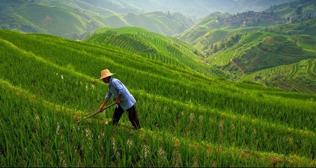 A China rural não existe mais