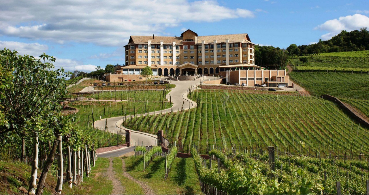 Criação da Zona Franca da Uva e do Vinho será debatida no Sul