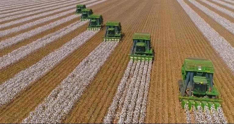 Grupo SLC adquire Lavoro Máquinas Agrícolas