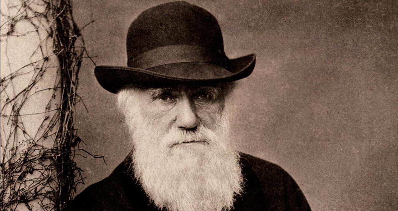 E Darwin descobriu a pivotagem