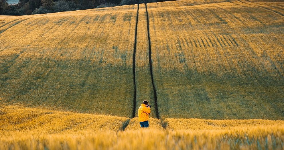 Sul tem a maior área agropecuária do país