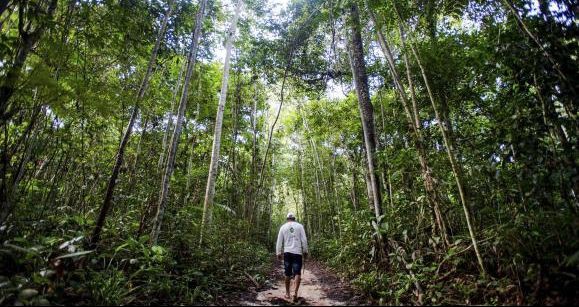 Uso eficiente de recursos naturais pode injetar US$ 2 trilhões na economia